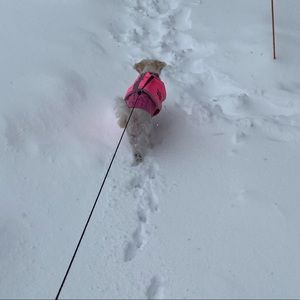 Meet your Posher, Brianna